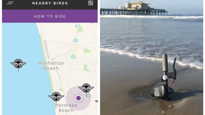 Bird Scooter destroyed
