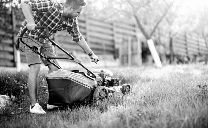 Starting the Lawnmower